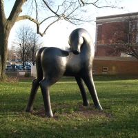 Horse with Neck Arched