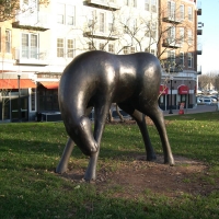 Horse with Head Touching Leg
