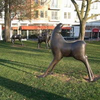 Three Horses